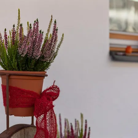 Luxurious With Sauna In Koenigsleiten Wald im Pinzgau