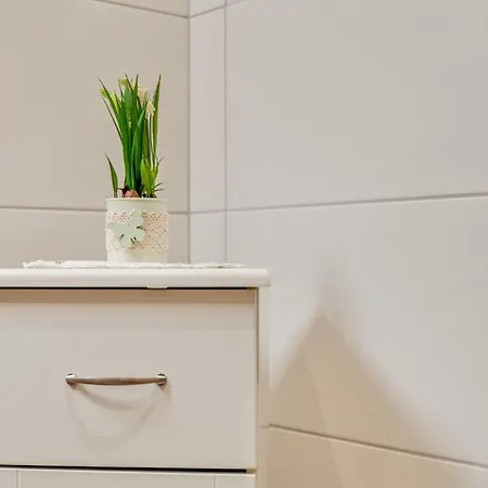 Daire Luxurious With Sauna In Koenigsleiten